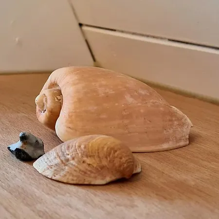 Traumstrand Hébergement de vacances Damp